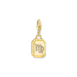 Charm pendant